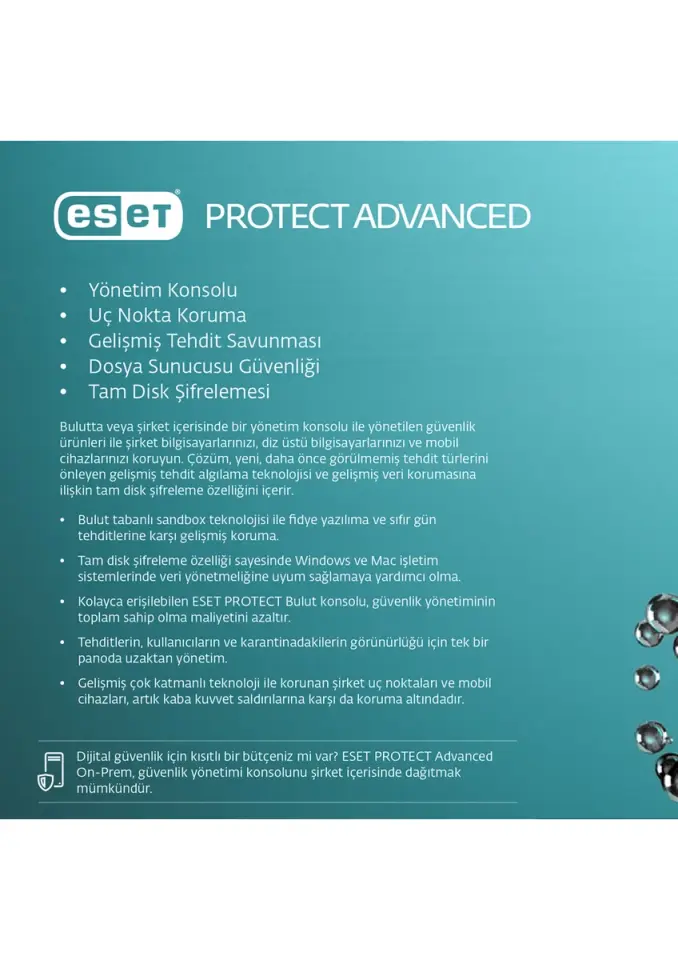 Eset Protect Advanced (1+20 Cihaz 3 Yıl)